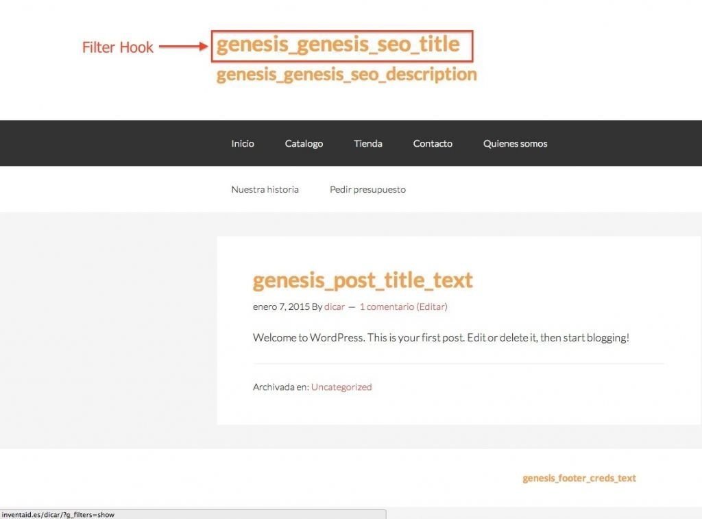 que-son-los-Filter-hook-framework-genesis